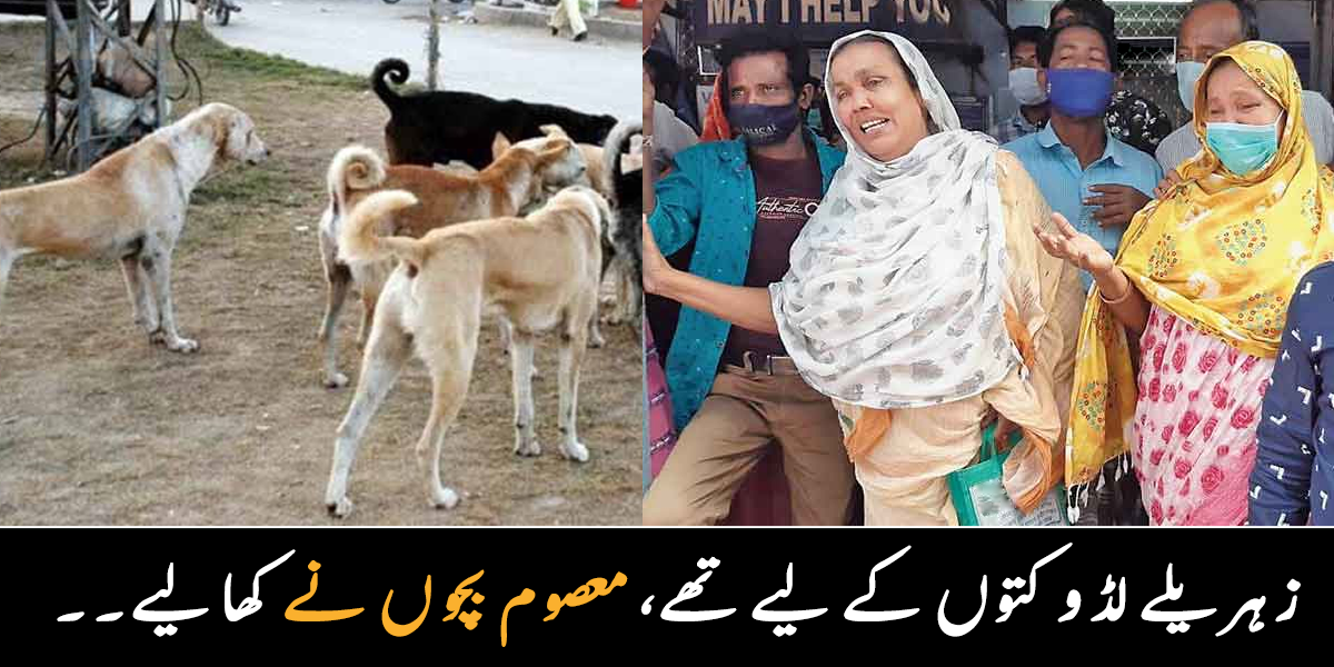 کتوں کو مارنے کے لیے تیار زہریلے لڈو کھانے سے بچی جاں بحق، گھر کے کئی بچوں کی حالت غیر