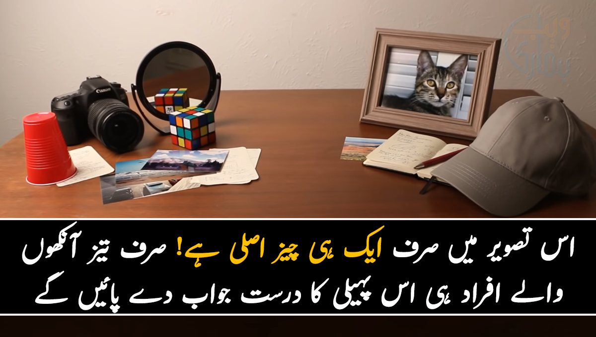 اس تصویر میں صرف ایک ہی چیز اصلی ہے! صرف تیز آنکھوں والے افراد ہی اس پہیلی کا درست جواب دے پائیں گے