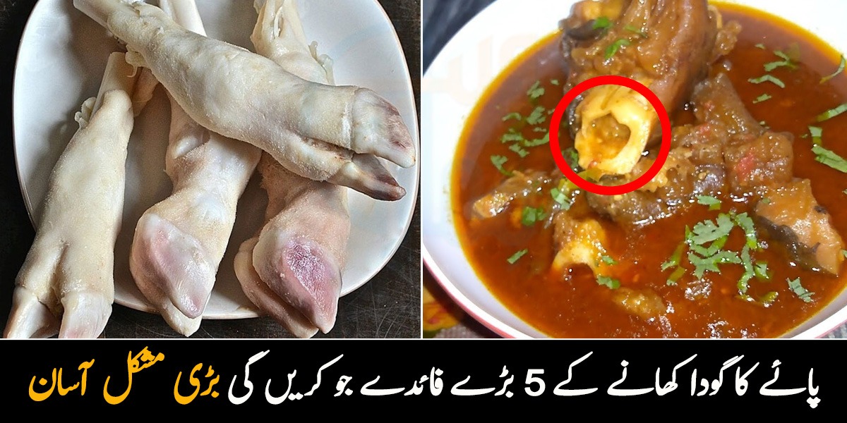  پائے کے اندر سے نکلنے والے گودے سے کیا ہوتا ہے؟ جانیے یہ ہڈی کھانے کے 5 بڑے فائدے جو کریں آپ کی بڑی مشکل آسان