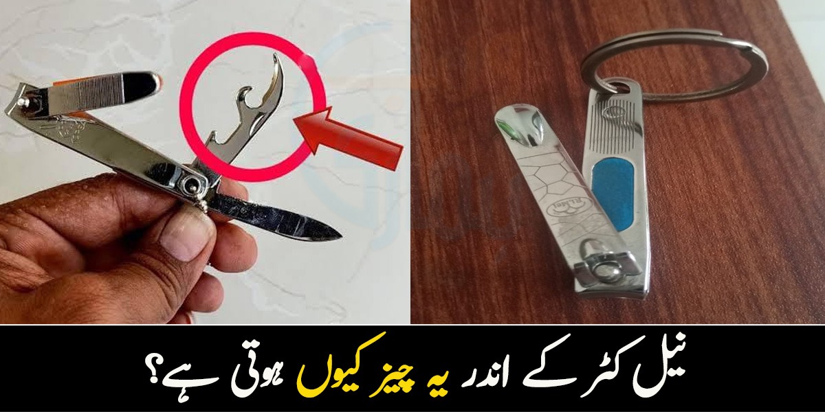 نیل کٹر کے اندر یہ چیز کیوں ہوتی ہے؟ چند دلچسپ معلومات جن سے آپ کی کئی مشکلات آسان ہوسکتی ہیں