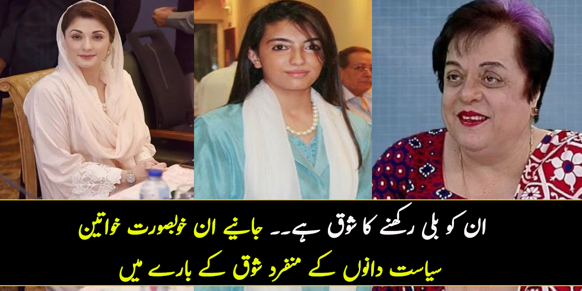 ان کو بلی رکھنے کا شوق ہے۔۔ جانیے ان خوبصورت خواتین سیاست دانوں منفرد شوق کے بارے میں، جو آپ بھی نہیں جانتے ہوں گے