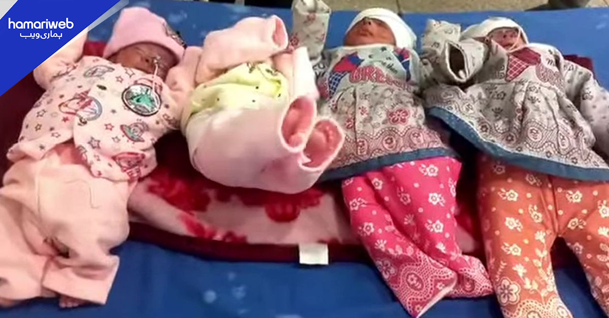 ضلع صوابی میں بیک وقت چار بچوں کا جنم، ماں اور نوزائیدہ صحت مند قرار  