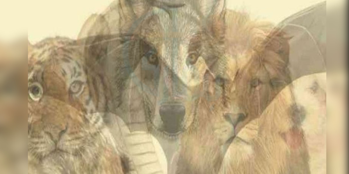 اس تصویر میں آپ کو پہلے کیا دکھائی دیا؟ ہم دعویٰ کرتے ہیں کہ تصویر کا سچ آپ کو بھی حیرت میں ڈال دے گا