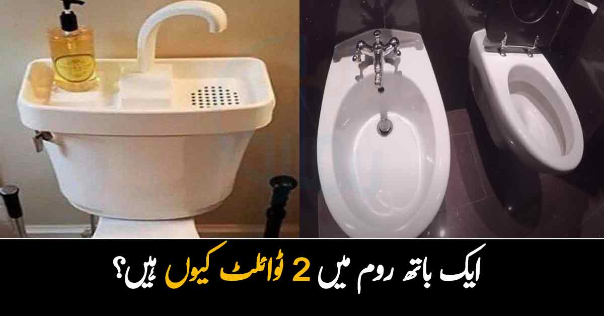  ایک باتھ روم میں 2 ٹوائلٹ کیوں ہیں؟ دنیا کے 3 عجیب و غریب ٹوائلٹ کے پیچھے کیا راز ہے؟