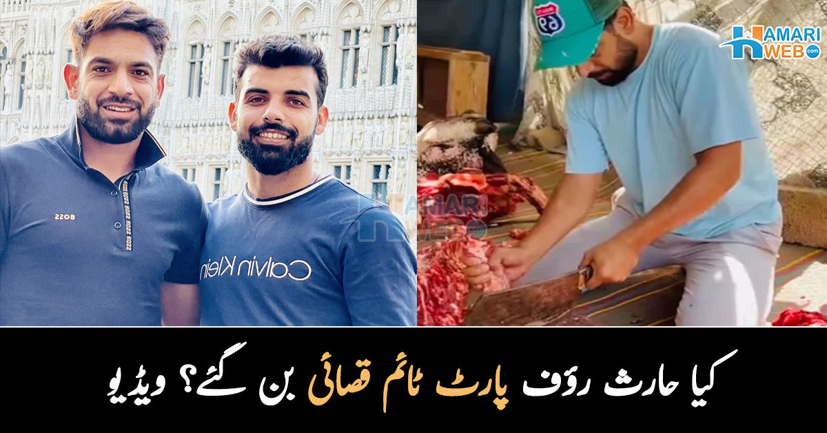 بھائی اس سال ہمارا قصائی نہیں آیا.. حارث رؤف کی پارٹ ٹائم قصائی بننے کی ویڈیو وائرل! شاداب خان اور حارث کی دلچسپ نوک جھونک