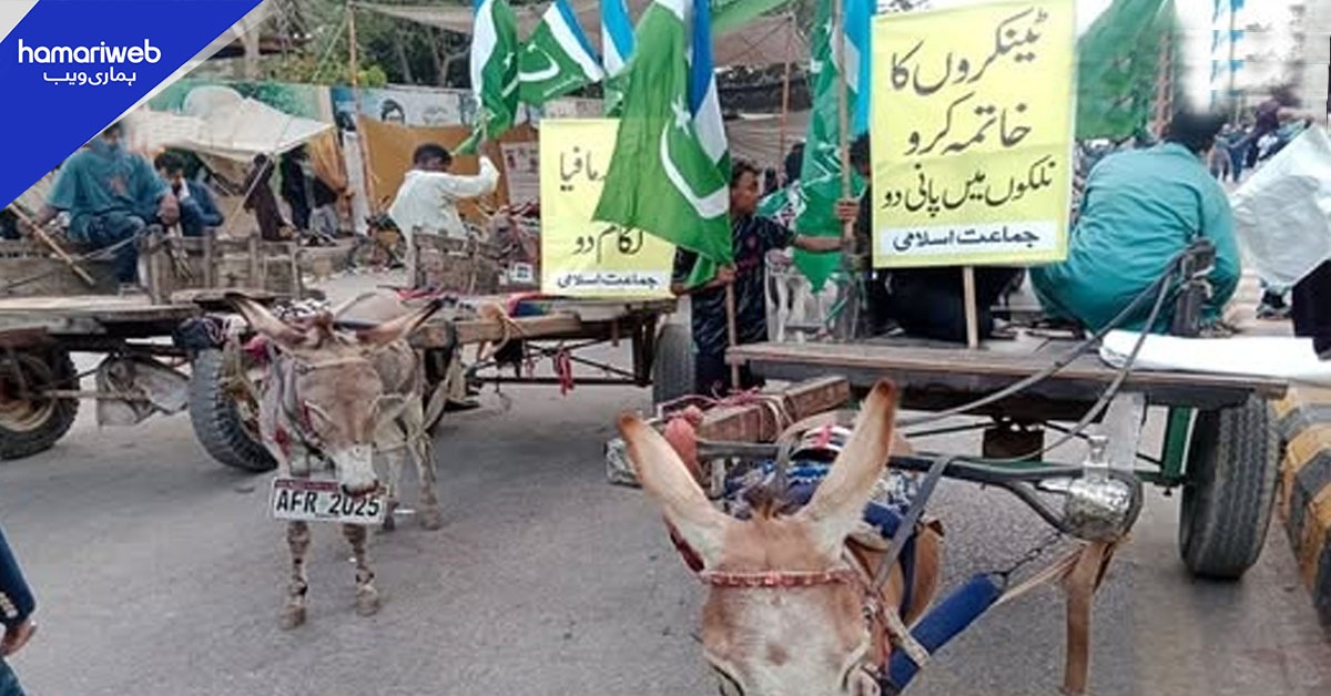 جماعت اسلامی کا علامتی احتجاج، گدھوں پر اجرک والی نمبر پلیٹس اور نعرے