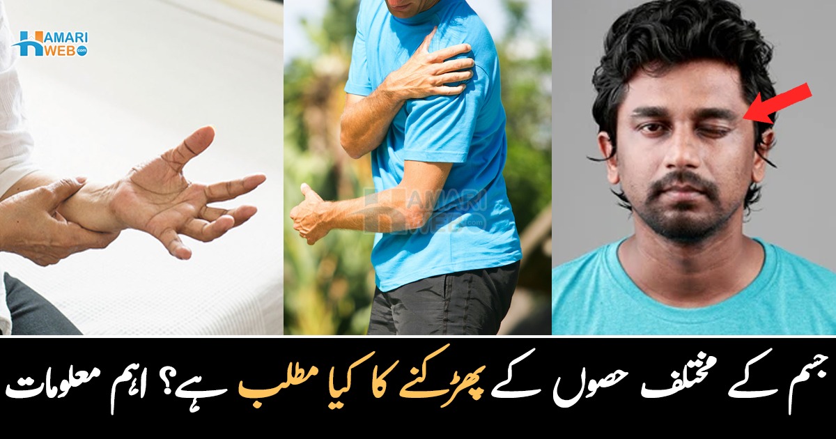 میری آنکھ پھڑک رہی ہے ۔۔ جسم کے مختلف حصے کیوں پھڑکتے ہیں اور کیا ایسا ہونا خطرناک ہوتا ہے؟ جانیں ان کے متعلق اہم معلومات جو ہر کسی کے لیے جاننا ضروری ہے