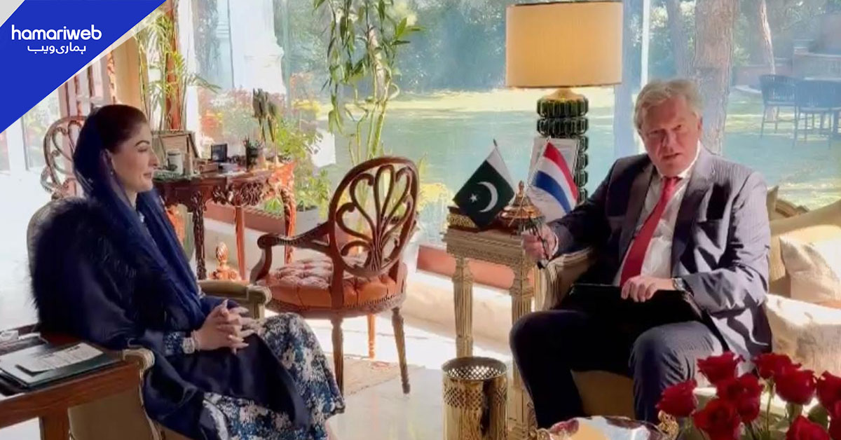 وزیراعلیٰ پنجاب سے نیدرلینڈز کے سفیر کی ملاقات، مختلف شعبوں میں تعاون بڑھانے پر اتفاق