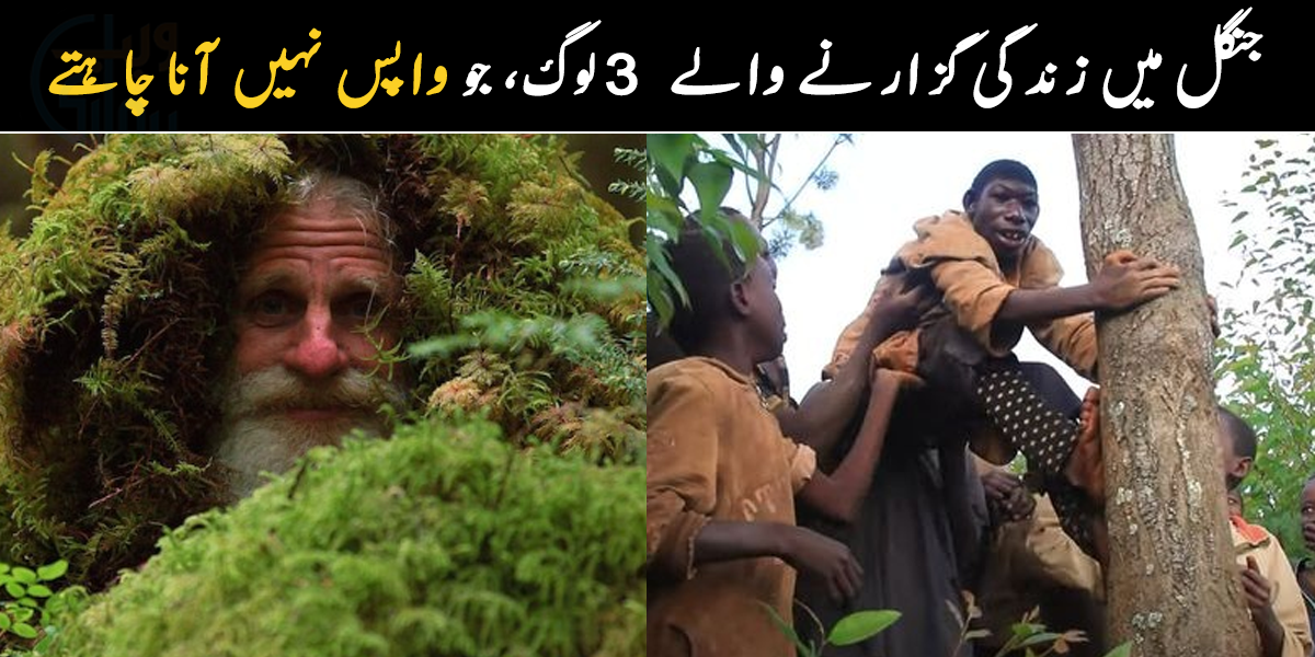 وہ آدمی جو 33 سال سے ایک درخت میں رہ رہا ہے لیکن کیوں؟ جنگل میں رہنے والے 3 ایسے لوگ، جو اب جنگل سے واپس جانا نہیں چاہتے
