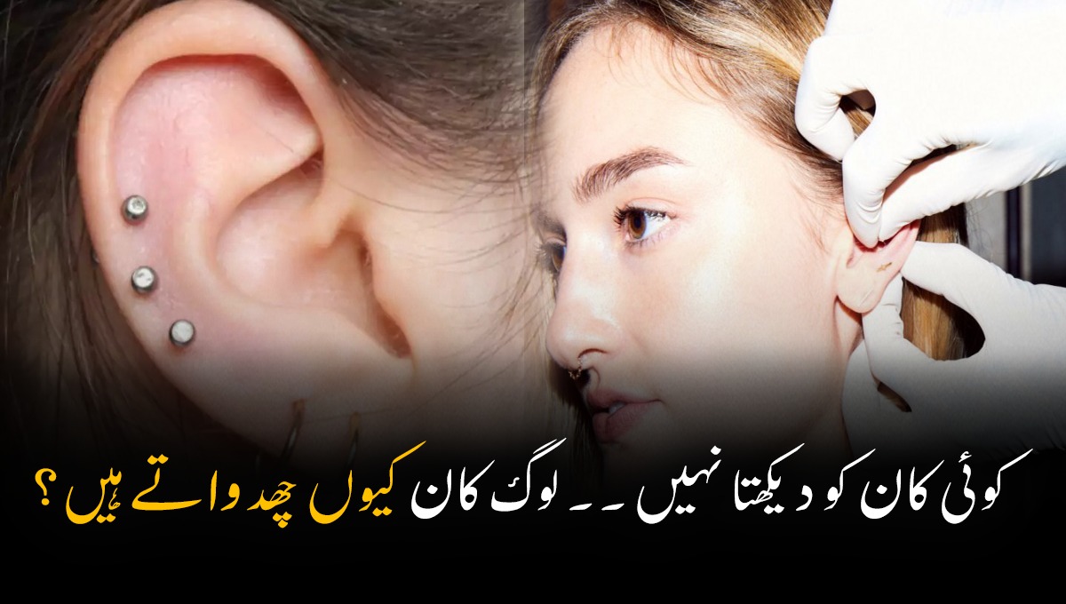 کوئی کان کو دیکھتا نہیں ۔۔ لوگ کان کیوں چھدواتے ہیں؟