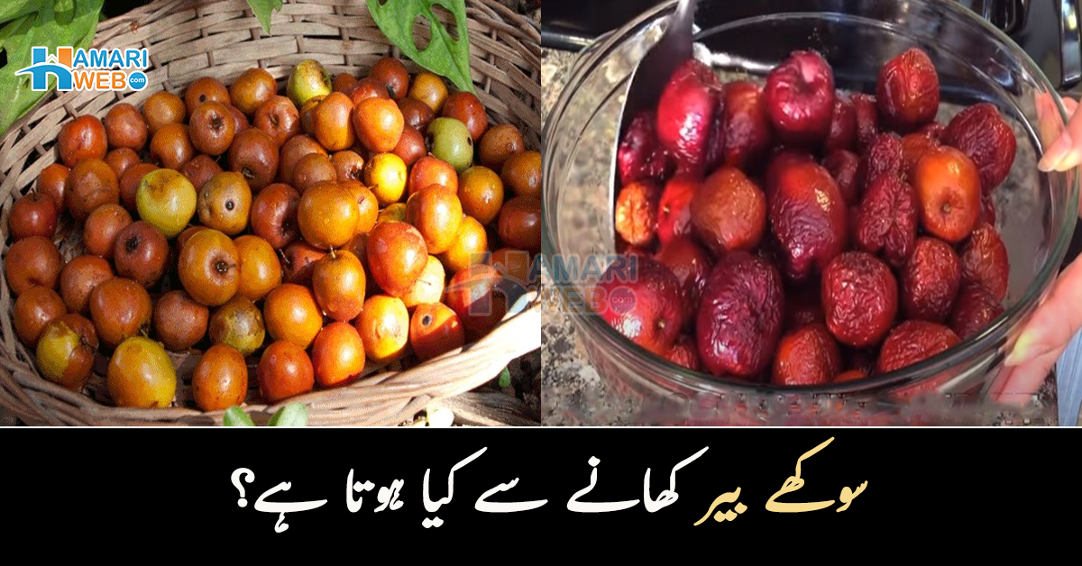 سوکھے بیر کھانے سے کیا ہوتا ہے؟ جانیں خشک بیر کھانے کے فائدے