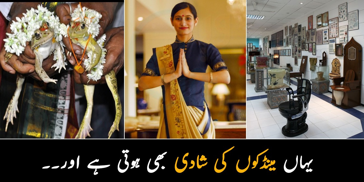 یہاں مینڈکوں کی شادی بھی ہوتی ہے اور۔۔ جانیں بھارت کی ان عجیب و غریب چیزوں کے بارے میں جو دنیا میں اور کہیں نہیں پائی جاتیں