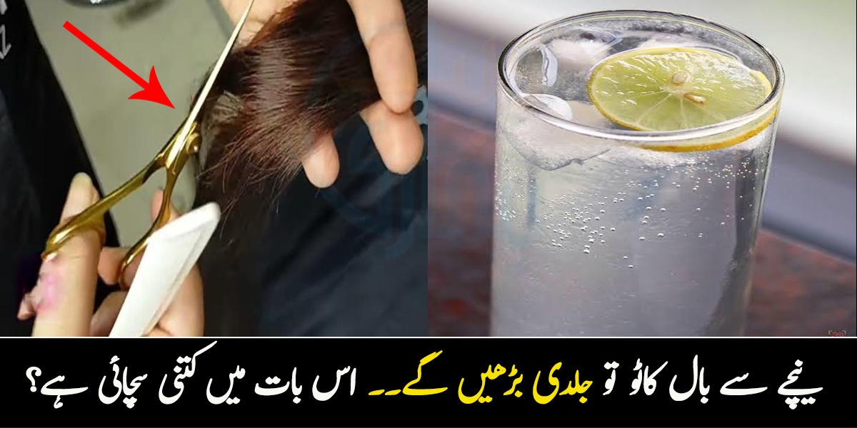 نیچے سے بال کاٹو تو جلدی بڑھیں گے اور بوتل میں لیموں ڈال کر پیو تو گیس ختم ہوجائے گی.. چند ایسی عام باتیں جو ہر گھر میں پائی جاتی ہیں لیکن ان کی حقیقت کیا ہے؟