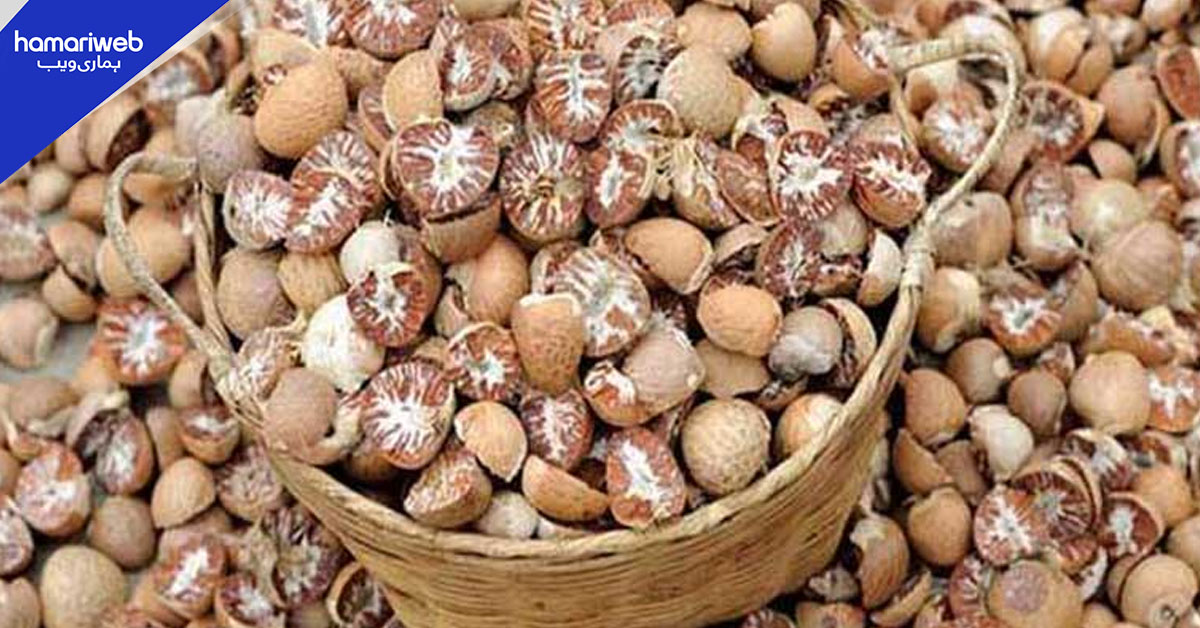 کسٹمز انفورسمنٹ نے 30.5 ٹن اسمگل شدہ پان اور 4 بسیں قبضے میں لے لیں