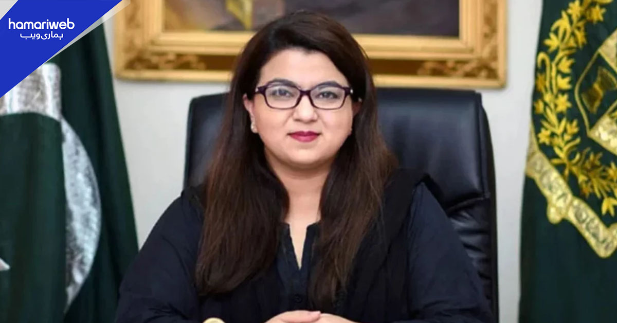 پاکستان اور مصر کے درمیان ڈیجیٹل گورننس اور ٹیلی کام شعبوں میں تعاون کو مزید وسعت دینے کا فیصلہ