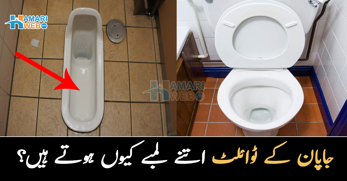 سڑک پر کچرا پہن کر گھومتا ہوں کیونکہ.. کپڑوں کے بجائے یہ شخص کچرا کیوں پہنتا ہے؟