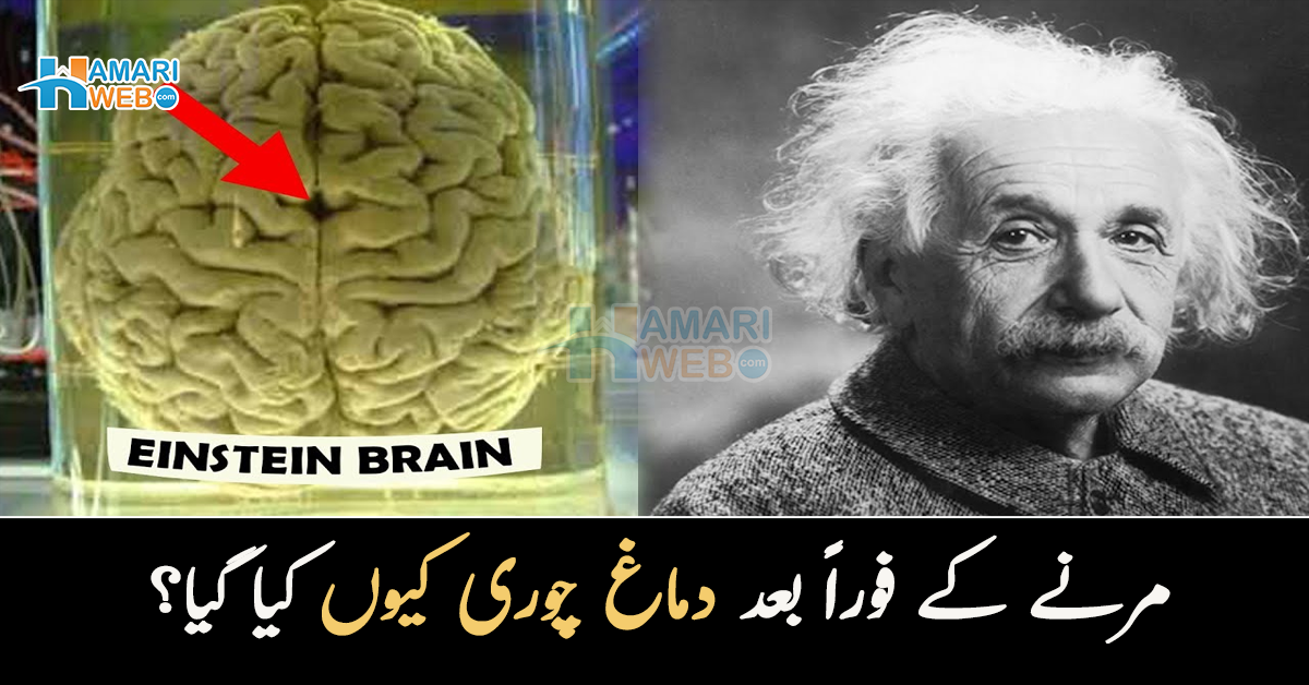 مرنے کے فوراً بعد دماغ چوری کیوں کیا گیا؟ جانیں مشہور سائنسدان آئن سٹائین کے دماغ کے بارے میں حیرت انگیز انکشافات