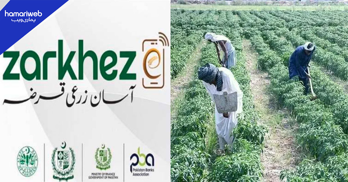 زرخیزی: کسانوں کے لیے آسان زرعی قرضہ