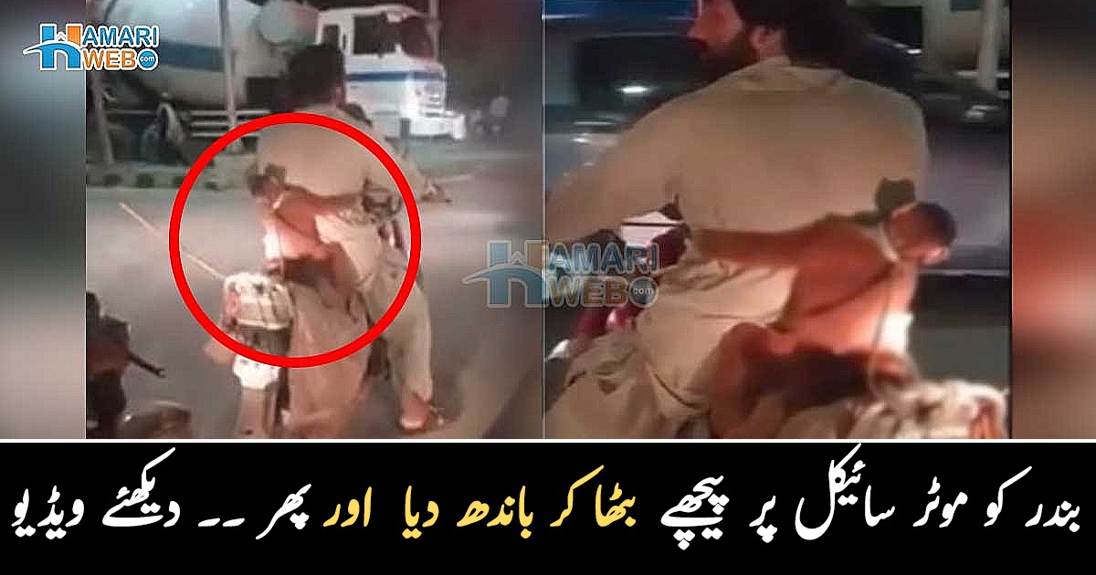 یہ کیا طریقہ ہے ۔۔ موٹر سائیکل سوار بندر کو کس طرح باندھ کر لے جارہا ہے؟ ویڈیو نے سب کی توجہ اپنی جانب کھینچ لی