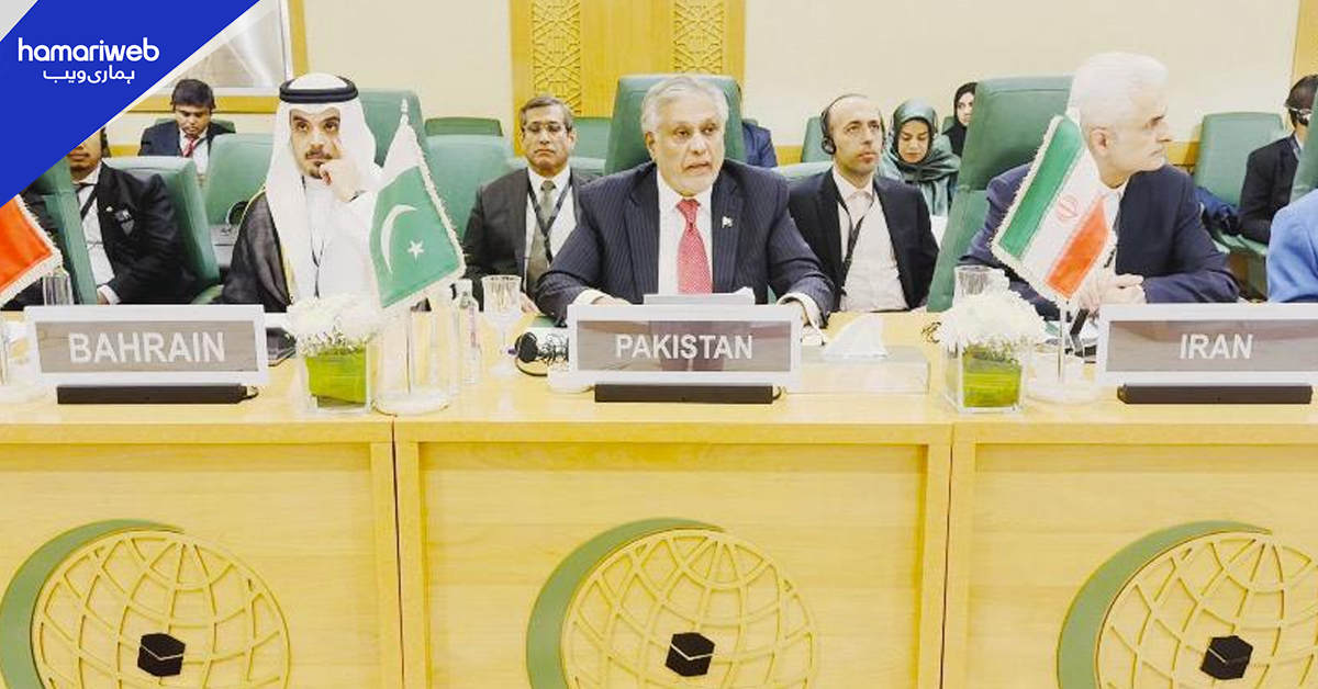 او آئی سی اجلاس: اسحاق ڈار کا فلسطین اور کشمیر پر دوٹوک موقف