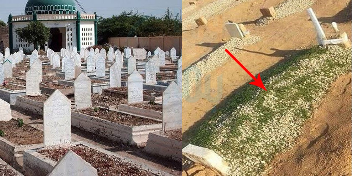 پورے قبرستان میں صرف ایک قبر پر گھاس کیوں اگی ہے۔۔ جانیے سنسان صحرا میں بنی یہ قبر کس کی ہے؟