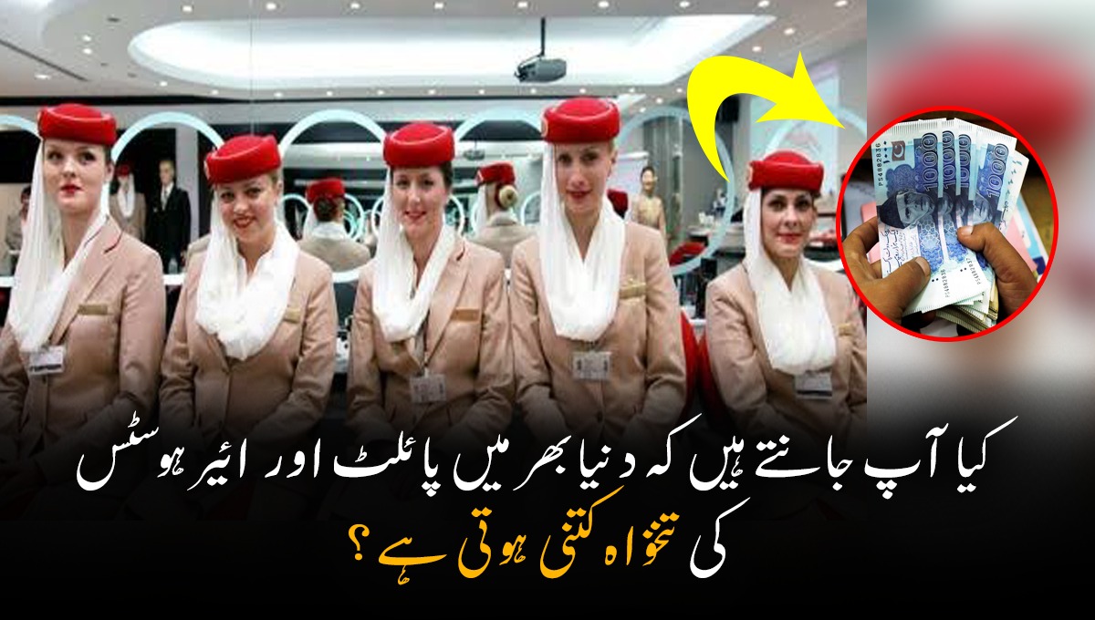 ان کی ماہانہ تنخواہ لاکھوں میں ہوتی ہے! کیا آپ جانتے ہیں کہ دنیا بھر میں پائلٹ اور ائیر ہوسٹس کی تنخواہ کتنی ہوتی ہے؟ تنخواہیں اتنی کہ جان کر آپ بھی حیران رہ جائیں گے