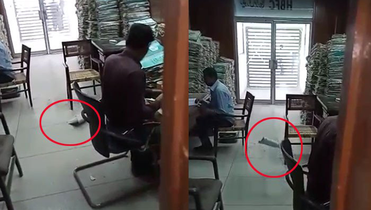 کرسیاں اچانک خود ہلنے لگی ۔۔ سوک سینٹر کراچی میں جنات کی شرارتیں یا پھر کسی کی ڈرامے بازی؟ ویڈیو دیکھئے