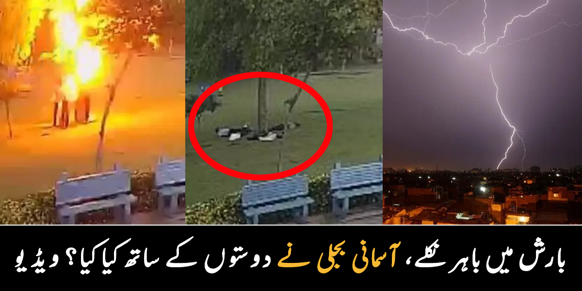 خطرناک موسم میں گھر سے باہر نکلے تھے ۔۔ آسمانی بجلی سے بچنے کے لیے 4 دوست درخت کے نیچے چلے گئے، پھر کیا ہوا؟ دیکھیے