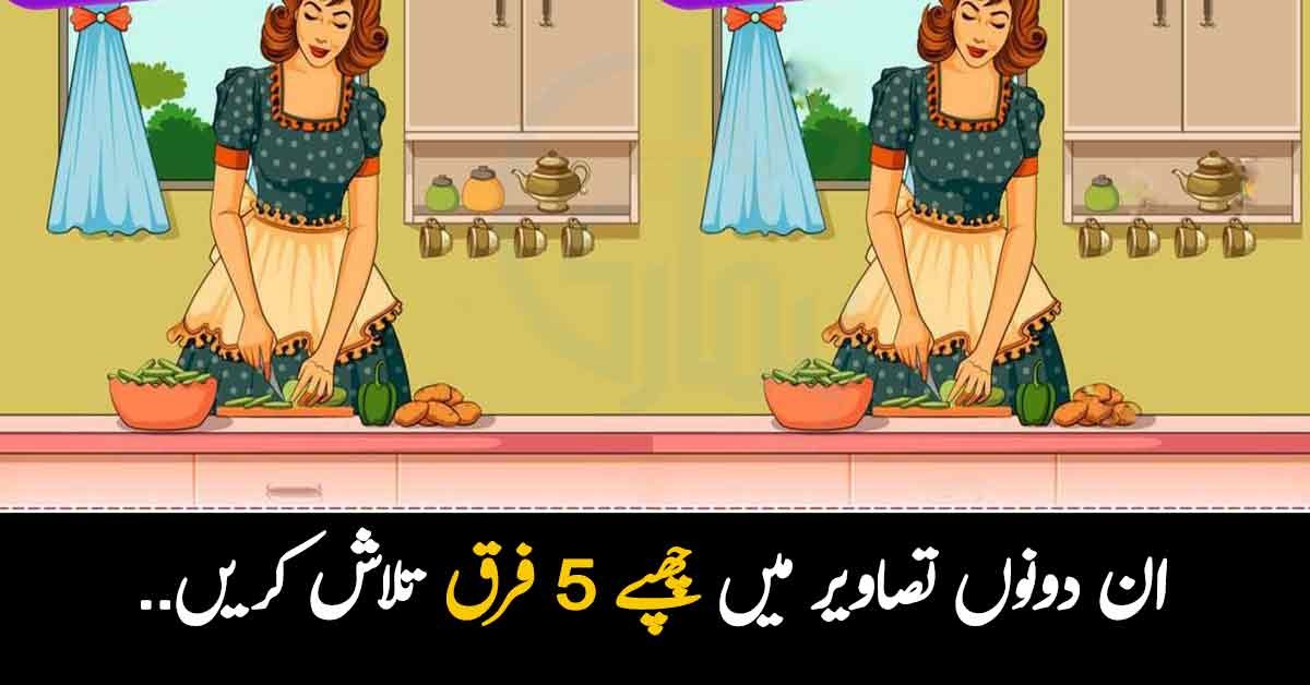 فرق تلاش کریں ۔۔ تصویر میں  چھپے 5 فرق کو 15 سیکنڈ میں تلاش کریں