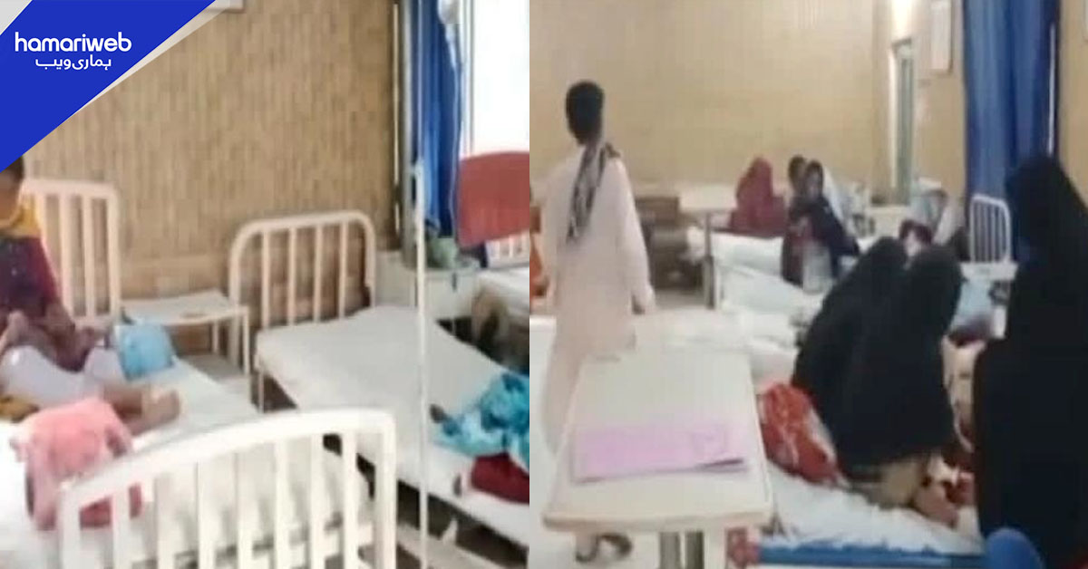 خیرپور میں چکن پاکس وبا: 5 بچے جاں بحق، محکمہ صحت کی تصدیق