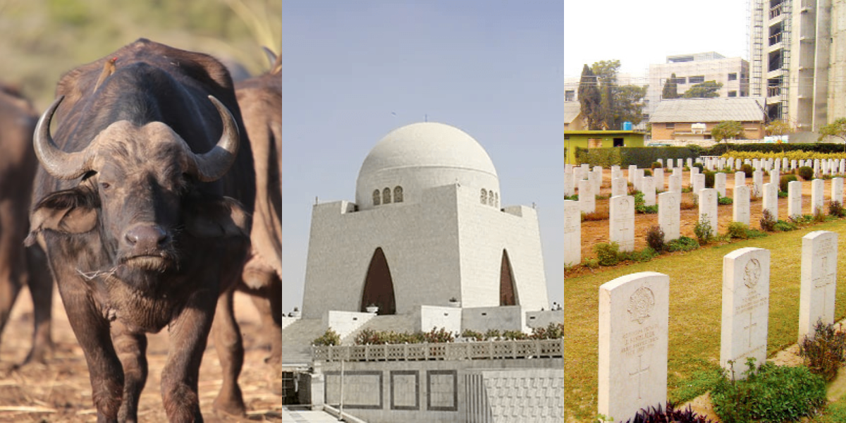 مچھر کالونی ! کیا آپ شہرِ کراچی کے مشہور مگر عجیب ناموں والے علاقوں کی حقیقت جانتے ہیں؟