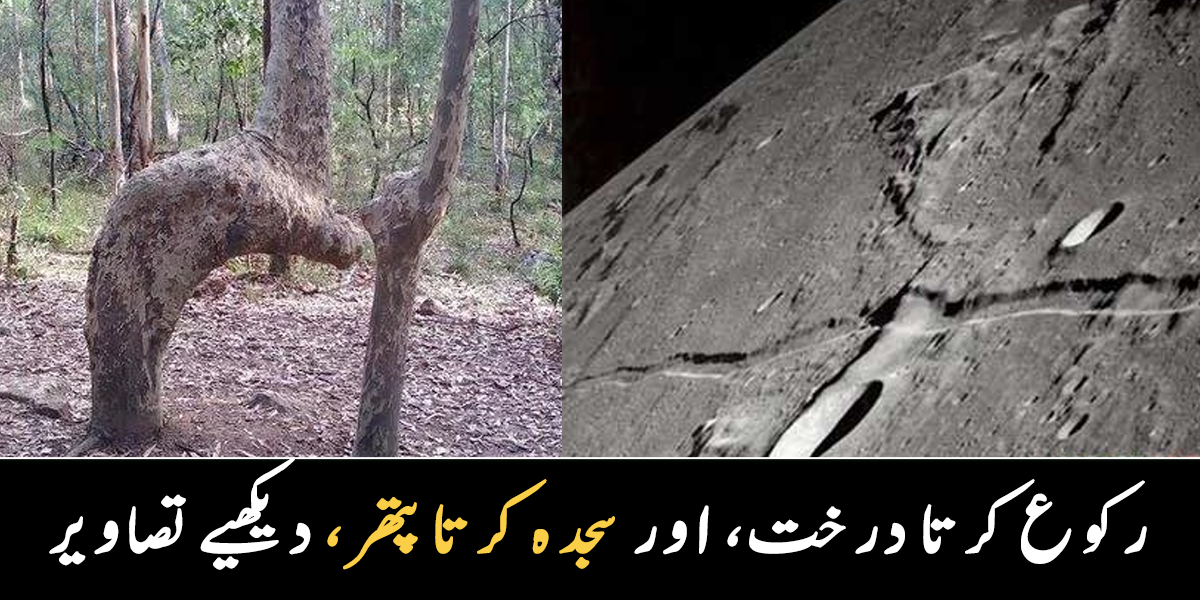 پتھر سجدہ کر رہے ہیں ۔۔ سائنس چاند کے دو ٹکڑے ہونے کے واقعے پر کیا کہتی ہے؟ دنیا کے چند دلچسپ اور حیرت انگیز واقعات