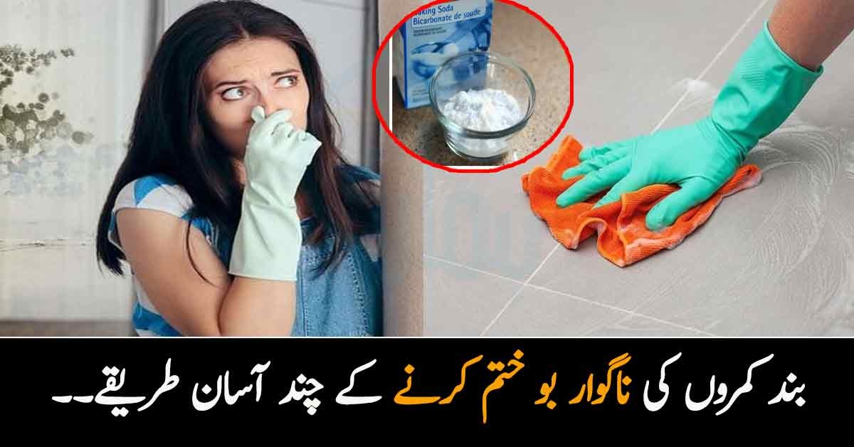 بند کمروں میں ناگوار بو بھرجاتی ہے تو اسے کیسے ختم کریں؟ کمرے کو خوشبو دار بنانے کے چند طریقےجن سے مہمانوں کے سامنے شرمندگی اٹھانے سے بچا جاسکتا ہے