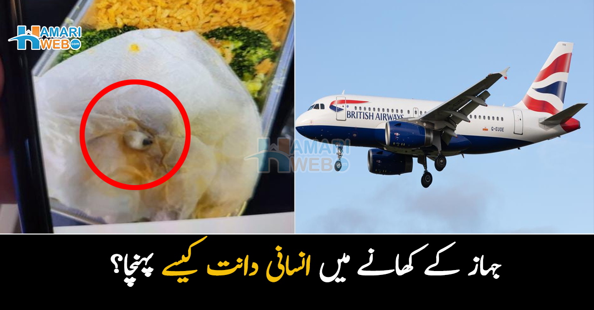 کھانے میں اچانک دانت نکل آیا ۔۔ جہاز میں مسافر کے کھانے سے ٹوٹا ہوا دانت نکلنے پر کیا ہنگامہ کھڑا ہوگیا؟