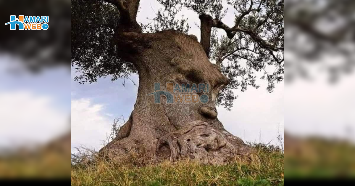 تصویر کو دیکھنے میں چند منٹ لگیں گے لیکن آپ چھپا راز تلاش نہیں کر سکتے ۔۔ جانیں اس تصویر کی حقیقت اور اپنی شخصیت سے متعلق اہم باتیں