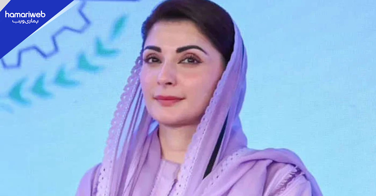 کسانوں کے لیے ریلیف: پنجاب حکومت کا گندم پیکج اور انٹرن شپ پروگرام کا اعلان