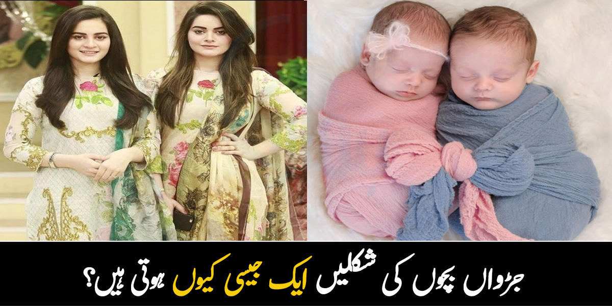 جڑواں بچوں کی شکلیں ایک جیسی کیوں ہوتی ہیں؟ چند حیران کن معلومات