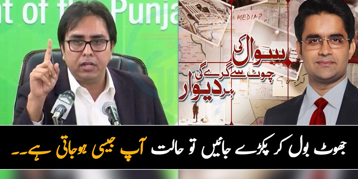 جھوٹ بول کر پکڑے جائیں تو حالت آپ جیسی ہوجاتی ہے۔۔۔  حماد اظہر کی اینکر سے بحث سوشل میڈیا پر وائرل 