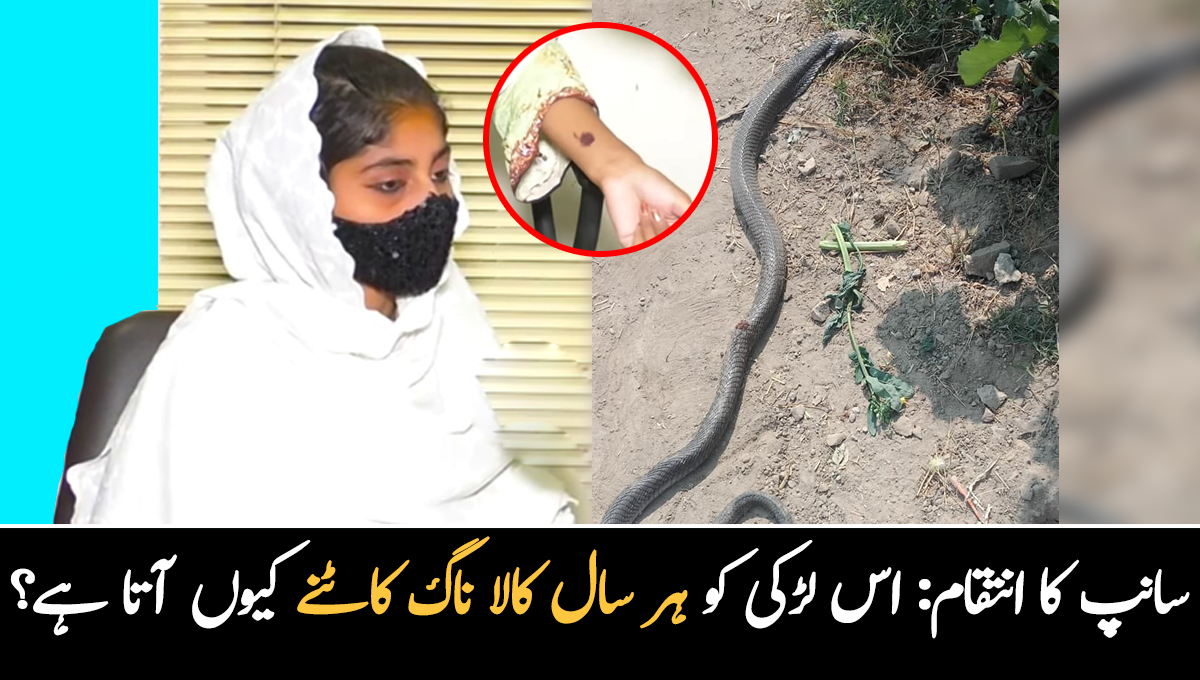 سانپ 7 سالوں سے کاٹ رہا ہے، پیچھا نہیں چھوڑ رہا ۔۔ ایک ایسی لڑکی جسے ہر سال سانپ کاٹنے آتا ہے، لڑکی سے کیا غلطی ہوگئی تھی؟