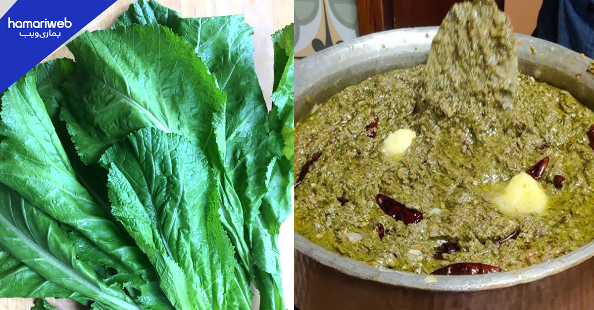 سرسوں کا ساگ پکاتے یہ غلطی نہ کریں۔۔ جانیں سردی کی اس خاص سوغات کے 6 زبردست فائدے کیا ہیں؟