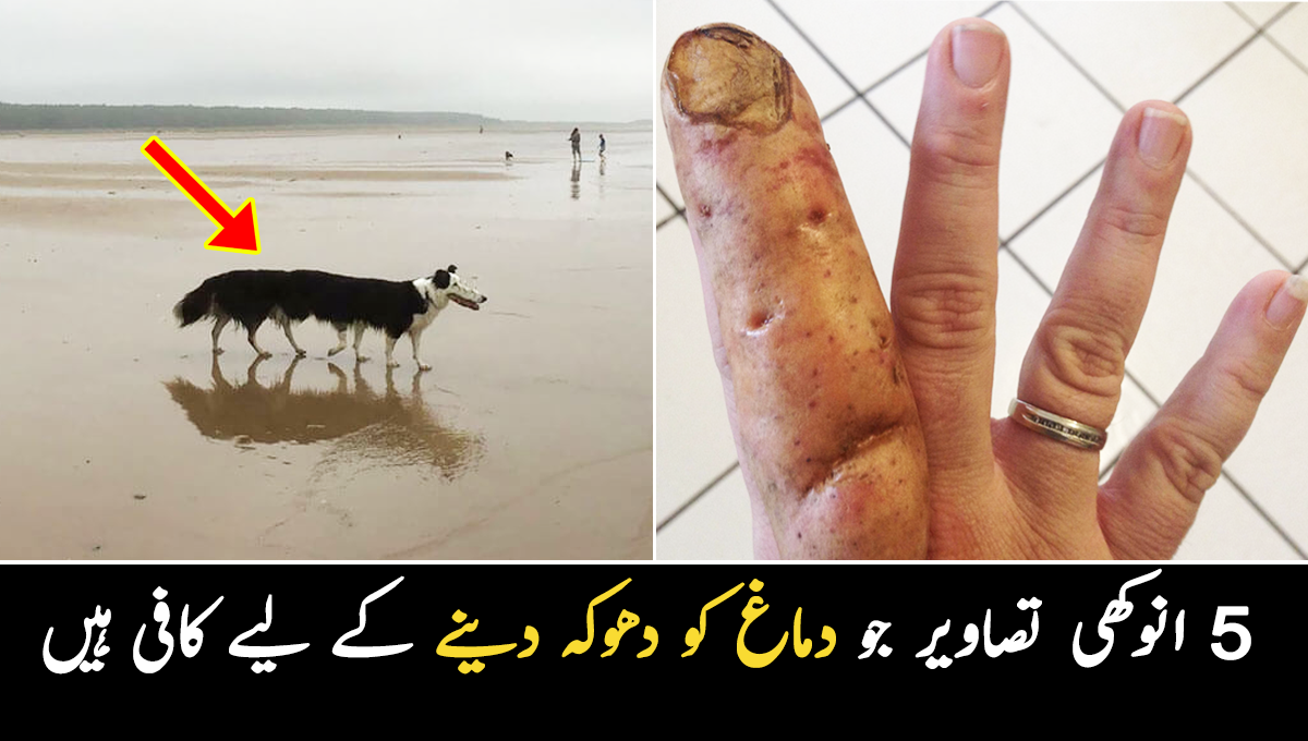 یہ اُنگلی ہی ہے یا پھر کچھ اور؟ 5 انوکھی وائرل تصاویر جو دماغ کو دھوکہ دینے کے لیے کافی ہیں اور تیز نظر رکھنے والے افراد کے لیے بھی سمجھنا مشکل ہیں