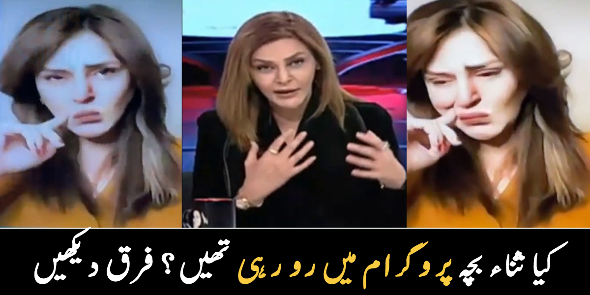 کیا ثناء بچہ پروگرام میں رو رہی تھیں، اینکر کی وائرل ویڈیو کی حقیقت کیا ہے؟ دیکھیے