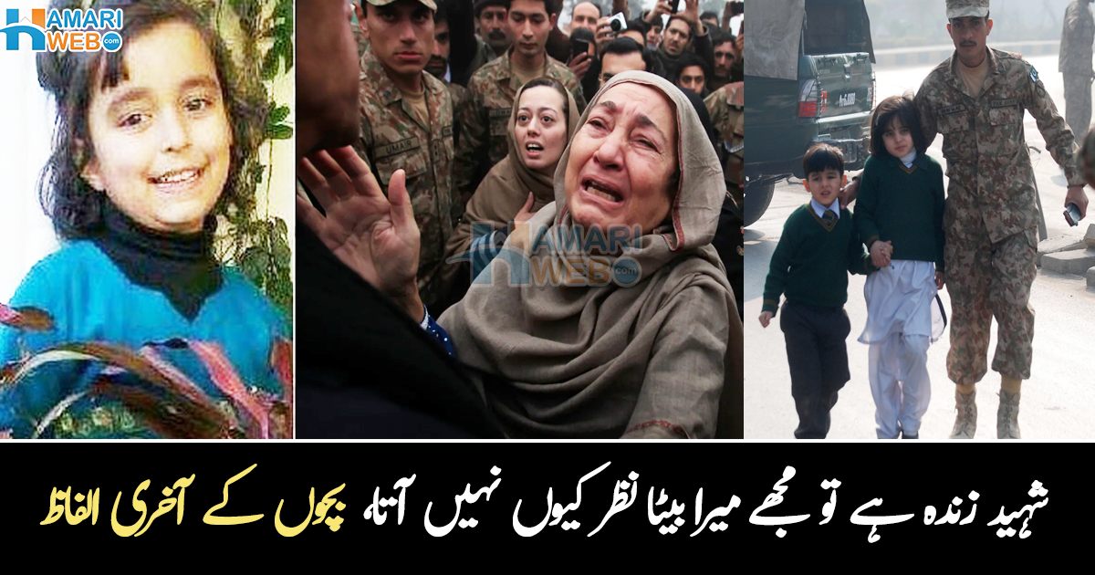 میں اللہ کو جا کر شکایت کروں گا، بچوں کے الفاظ ۔۔ شہید کی والدہ آج بھی بیٹے کو تلاش کرتی ہے، آرمی پبلک اسکول حملے نے کیسے والدین کے جینے کا مقصد ختم کردیا؟