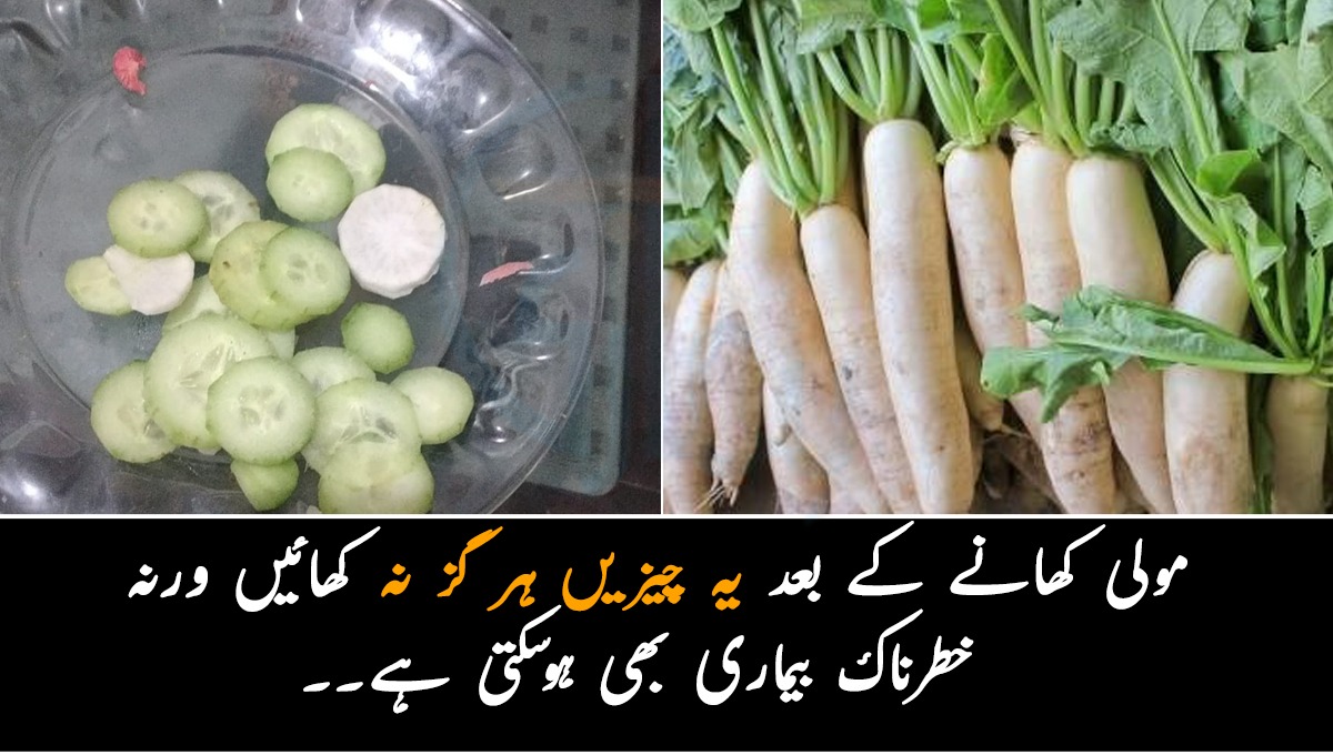 مولی کھانے کے بعد یہ چیزیں ہر گز نہ کھائیں ورنہ خطرناک بیماری بھی ہوسکتی ہے۔۔ جانیں مولی کو کون سی 3 چیزوں کے ساتھ نہیں کھانا چاہیے؟