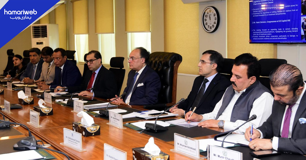 ملک بھر میں پیٹرولیم مصنوعات اور توانائی کی بلا تعطل فراہمی یقینی بنانا ترجیح ہے، وزیر خزانہ