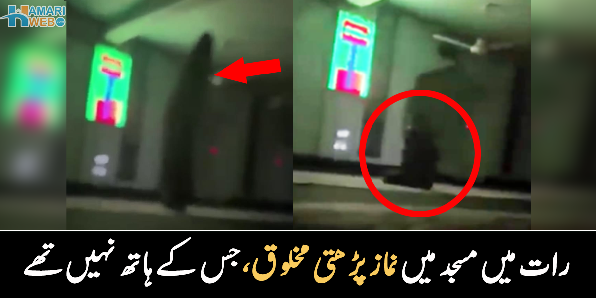 جنات اللہ کی عبادت کرتے ہیں مگر۔۔ مسجد میں خفیہ کیمرے نے کس خوفناک مخلوق کو دیکھا؟ 