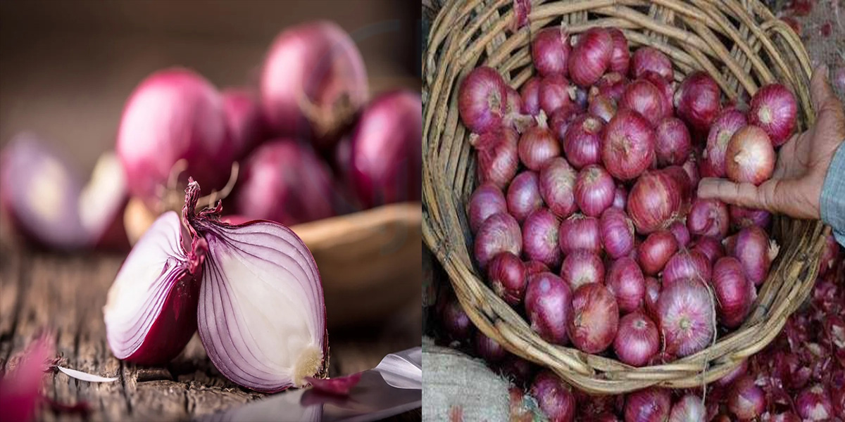 بکرا عید سے پہلے پیاز مہنگی ہوجاتی ہے تو جانیے پیاز کو لمبے عرصے تک محفوظ رکھنے کے آسان طریقے اور کریں بچت