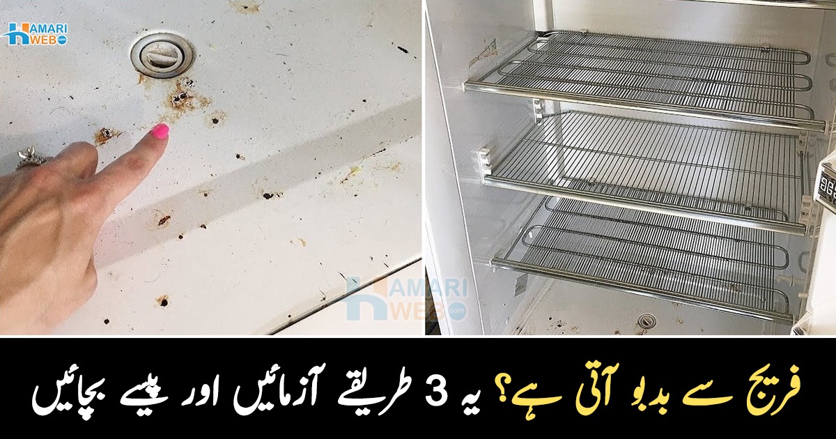فریج سے بدبو آتی ہے؟ فریج کی بدبو ختم کرنے کے 3 گھریلو طریقے جس کا کمال آپ خود دیکھیں گے اور پیسے بھی بچیں گے