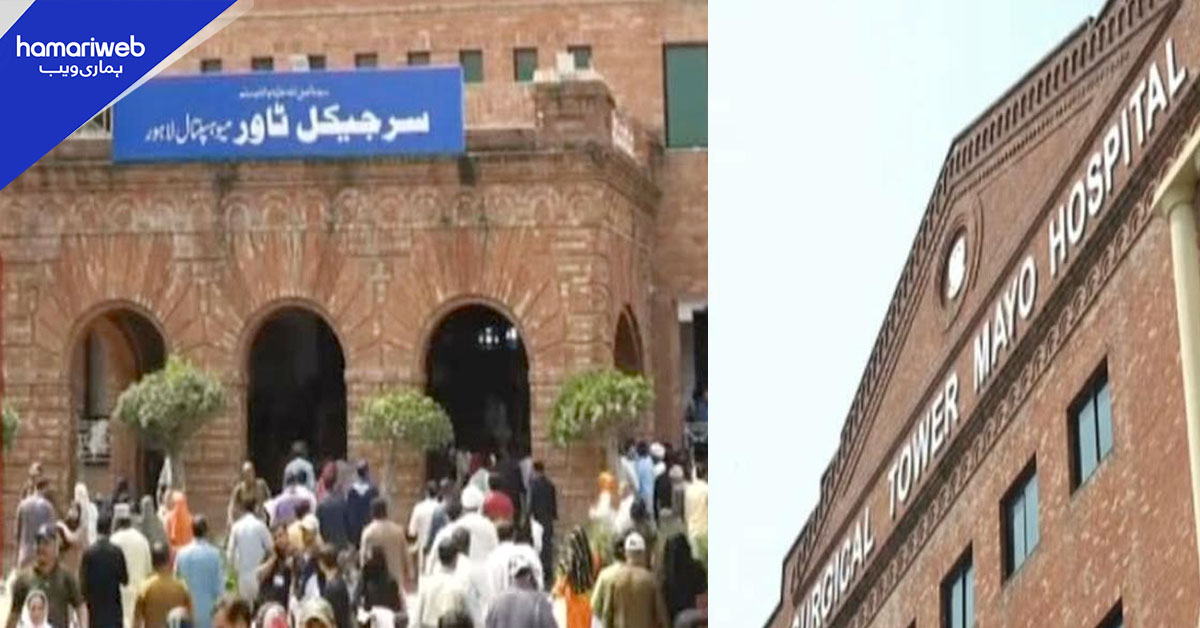 پنجاب میں ریبیز سے ایک اور ہلاکت، رواں ماہ اموات کی تعداد 3 ہوگئی