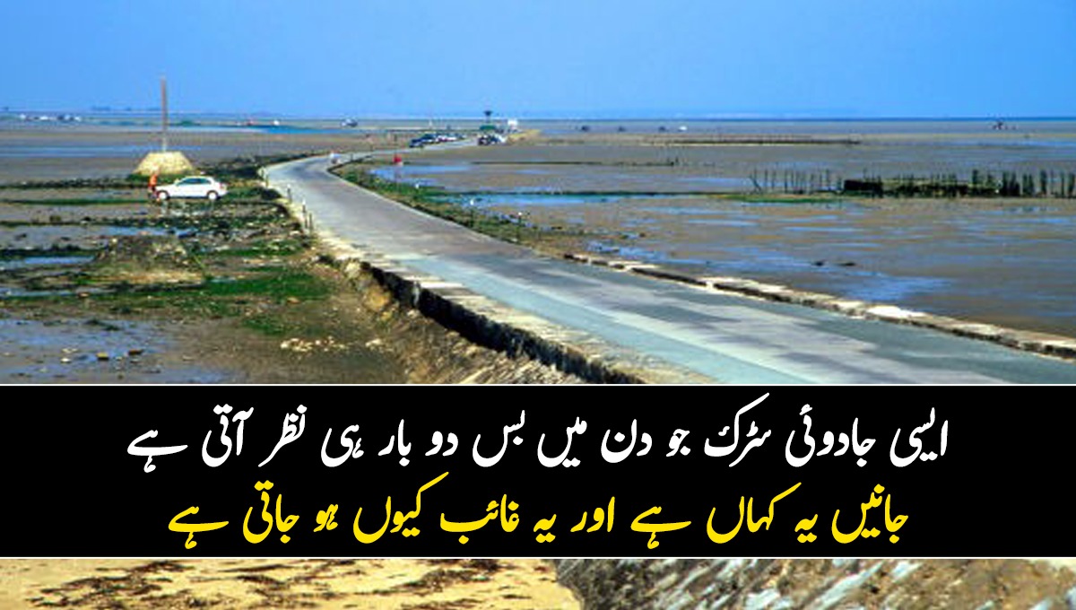 ایسی جادوئی سڑک جو دن میں بس دو بار ہی نظر آتی ہے ۔۔۔ جانیں یہ کہاں ہے اور یہ غائب کیوں ہو جاتی ہے